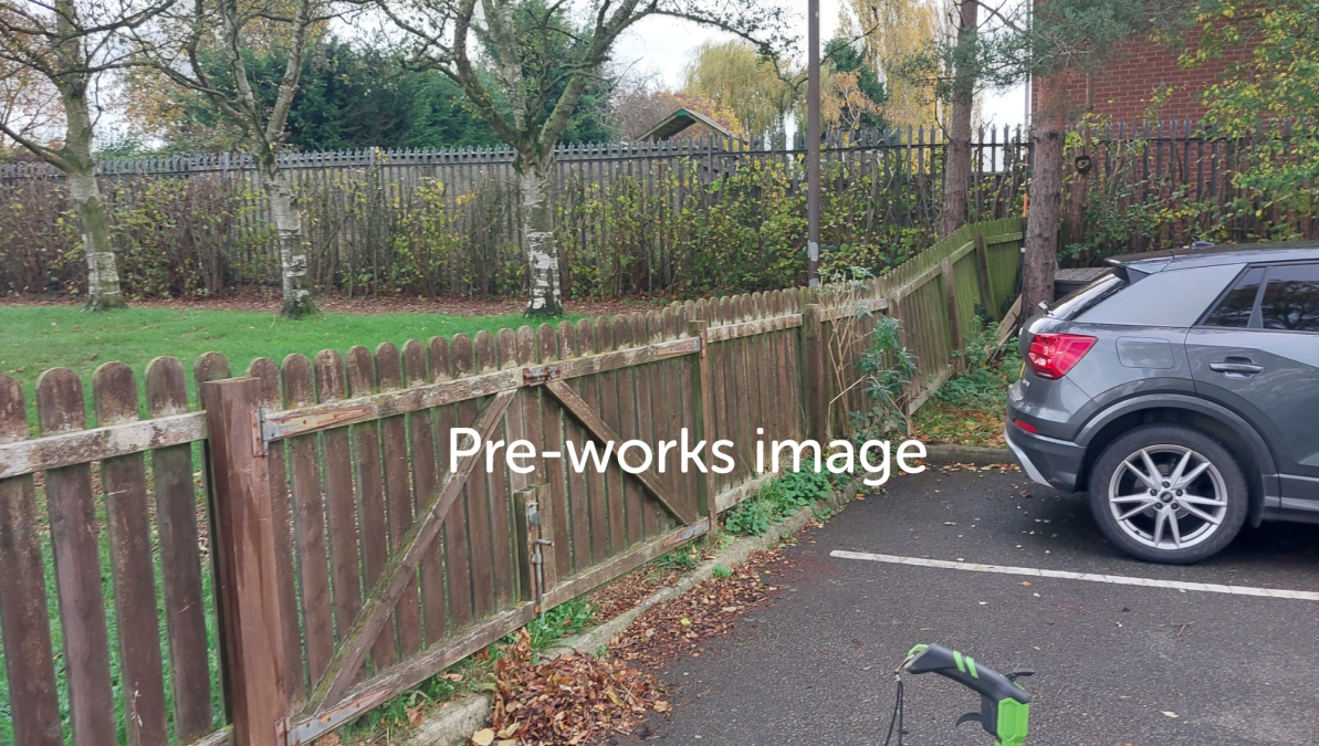 Rotting Timber fence
