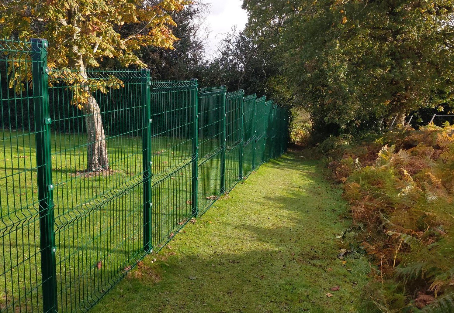 New fencing for Richardson Endowed Primary School, Ilkeston