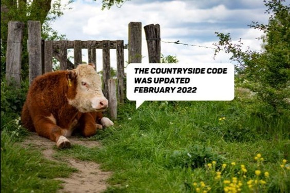 The Countryside Code: advice for land managers