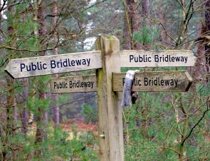 Bridleway Bridge
