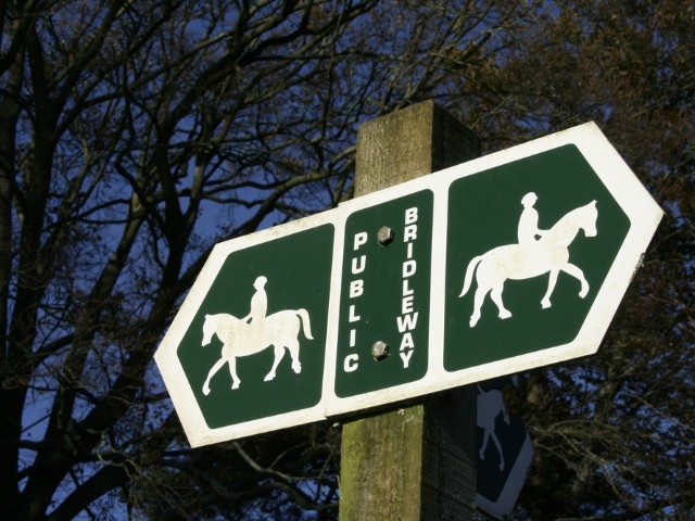 Choosing a horse-friendly barrier