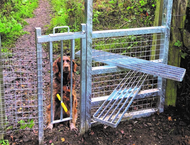 Dog-Way Stile Gate